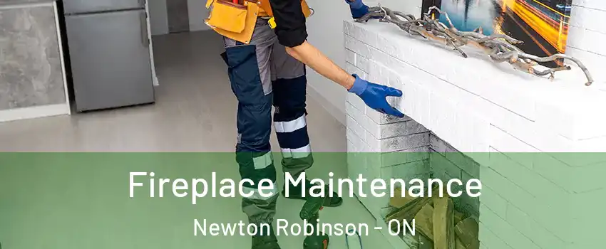  Fireplace Maintenance Newton Robinson - ON