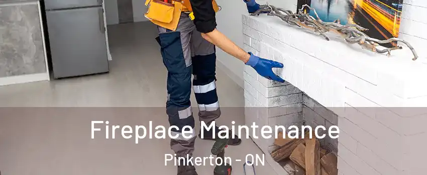  Fireplace Maintenance Pinkerton - ON
