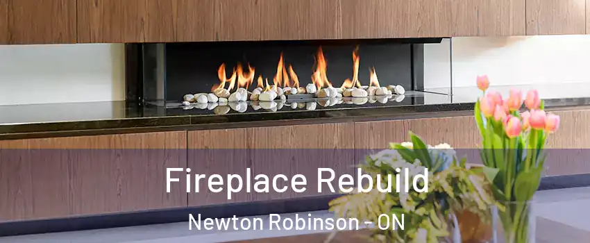  Fireplace Rebuild Newton Robinson - ON