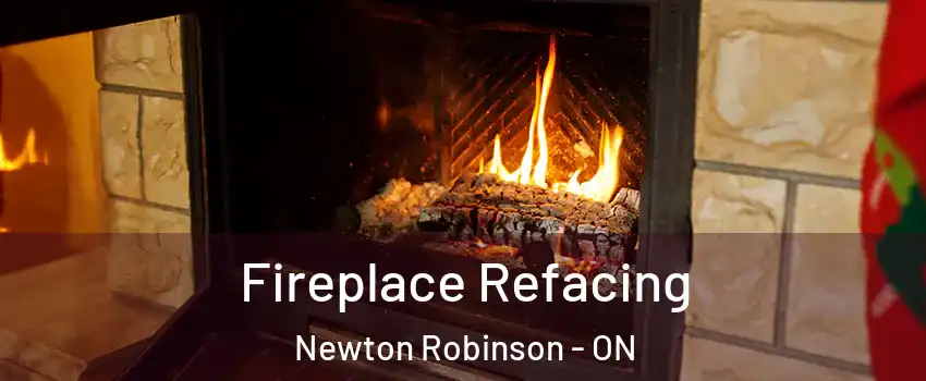  Fireplace Refacing Newton Robinson - ON