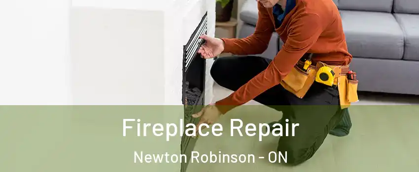  Fireplace Repair Newton Robinson - ON