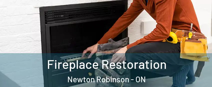  Fireplace Restoration Newton Robinson - ON