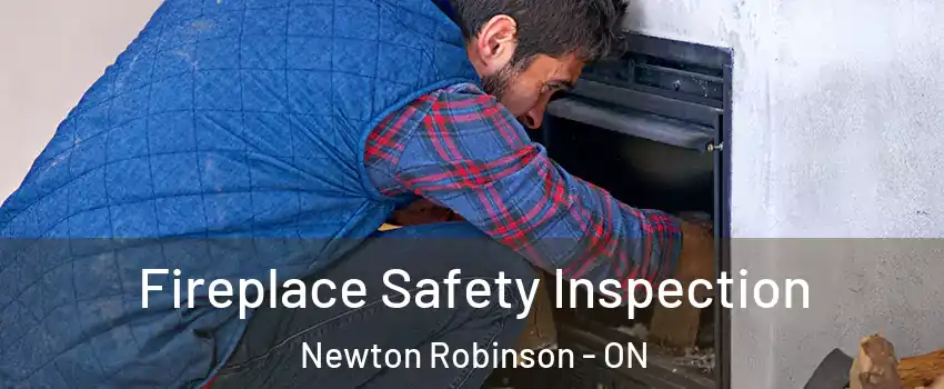 Fireplace Safety Inspection Newton Robinson - ON