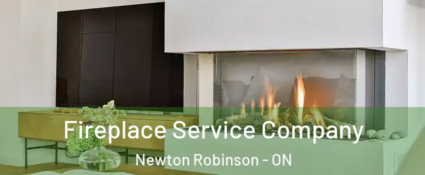Fireplace Service Company Newton Robinson - ON
