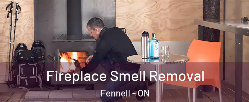  Fireplace Smell Removal Fennell - ON