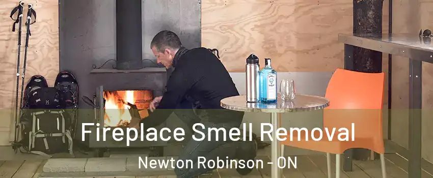  Fireplace Smell Removal Newton Robinson - ON