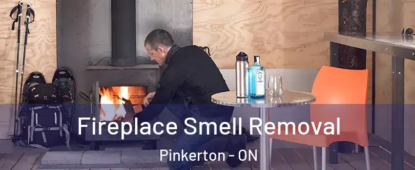  Fireplace Smell Removal Pinkerton - ON