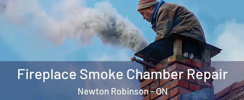  Fireplace Smoke Chamber Repair Newton Robinson - ON