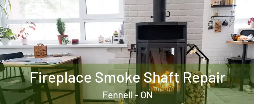  Fireplace Smoke Shaft Repair Fennell - ON