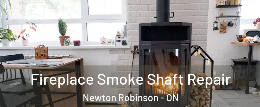  Fireplace Smoke Shaft Repair Newton Robinson - ON