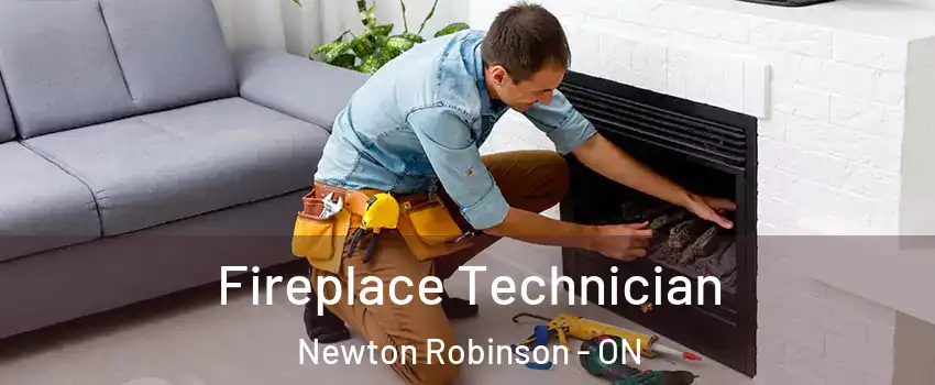 Fireplace Technician Newton Robinson - ON