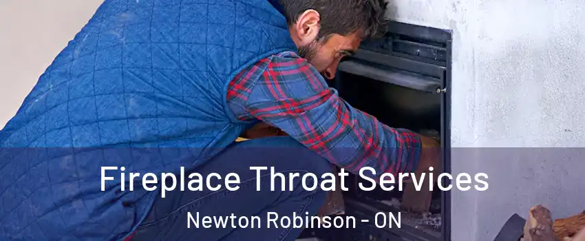  Fireplace Throat Services Newton Robinson - ON