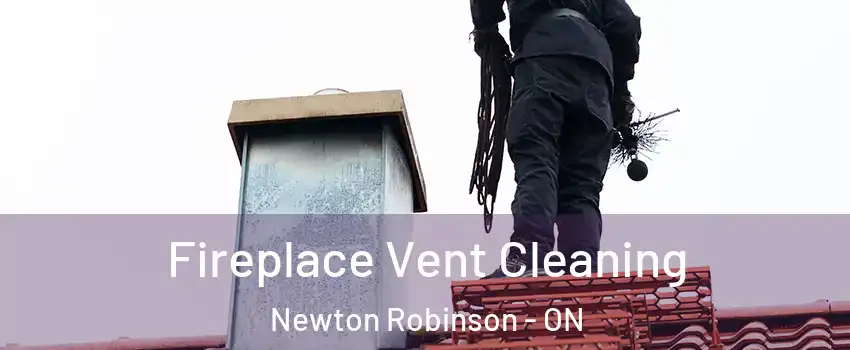  Fireplace Vent Cleaning Newton Robinson - ON