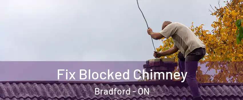  Fix Blocked Chimney Bradford - ON