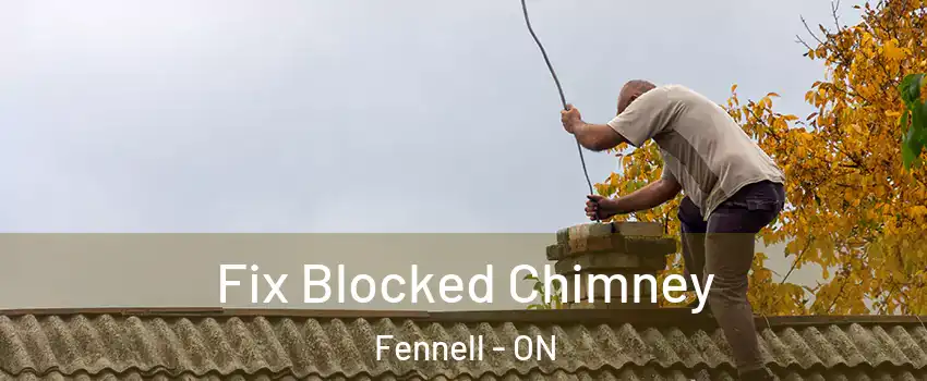  Fix Blocked Chimney Fennell - ON