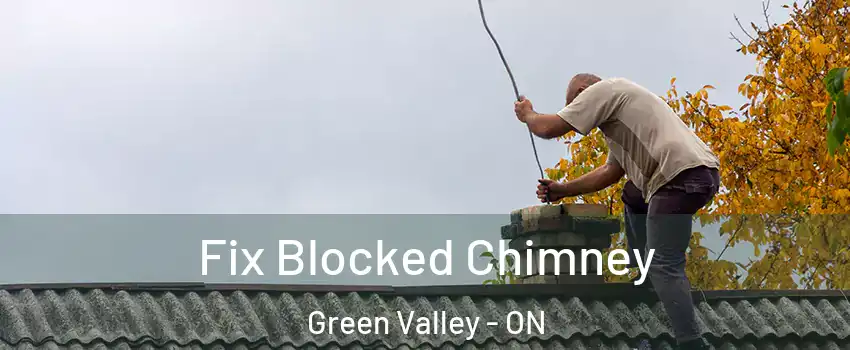  Fix Blocked Chimney Green Valley - ON