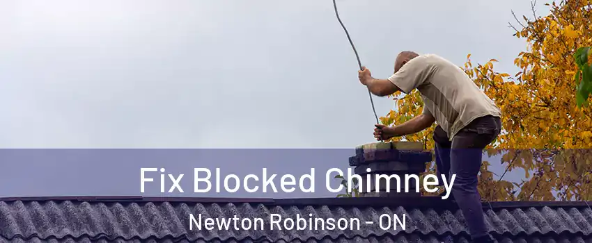  Fix Blocked Chimney Newton Robinson - ON
