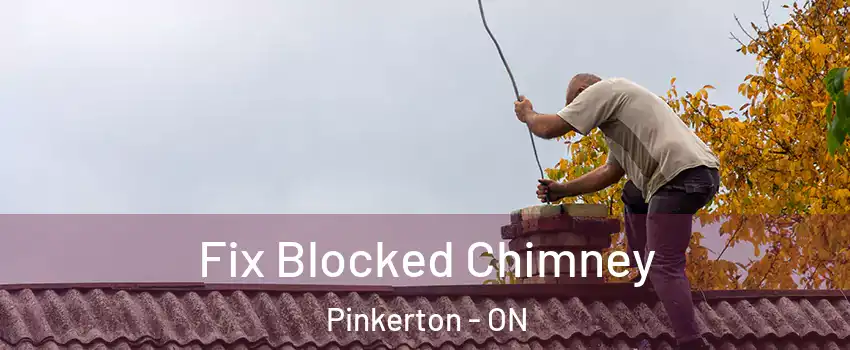  Fix Blocked Chimney Pinkerton - ON