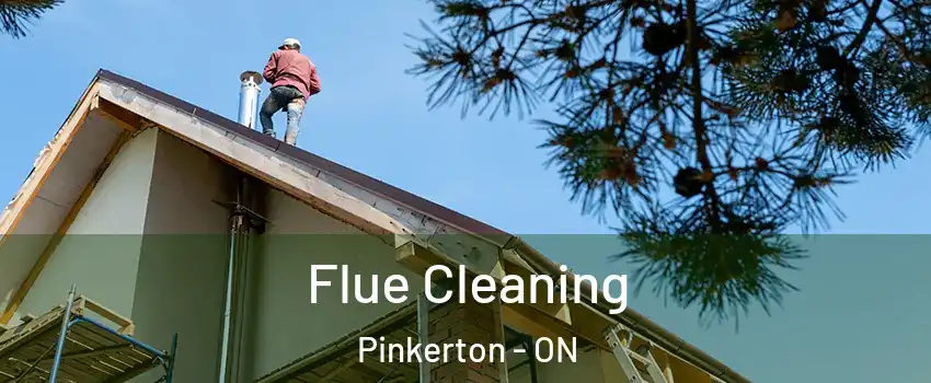  Flue Cleaning Pinkerton - ON