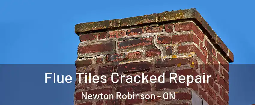  Flue Tiles Cracked Repair Newton Robinson - ON