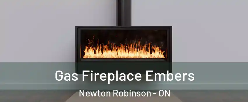 Gas Fireplace Embers Newton Robinson - ON