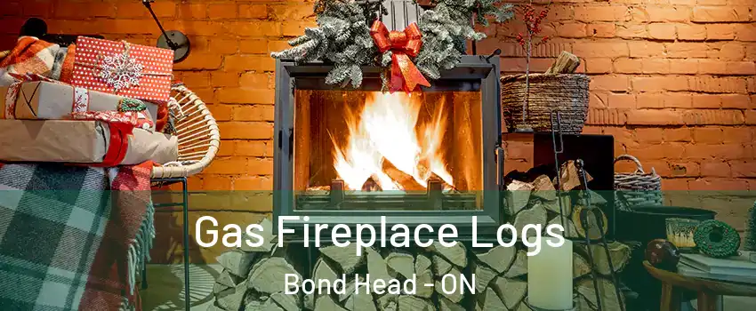  Gas Fireplace Logs Bond Head - ON