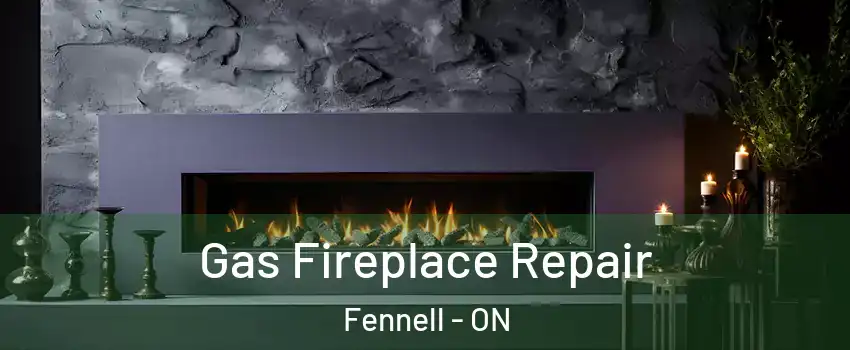  Gas Fireplace Repair Fennell - ON