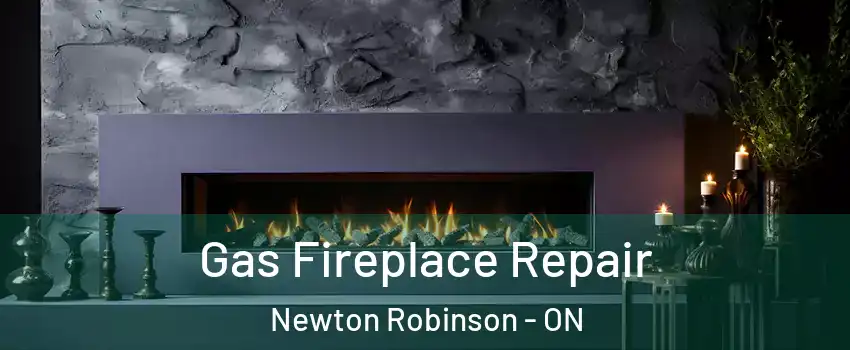  Gas Fireplace Repair Newton Robinson - ON