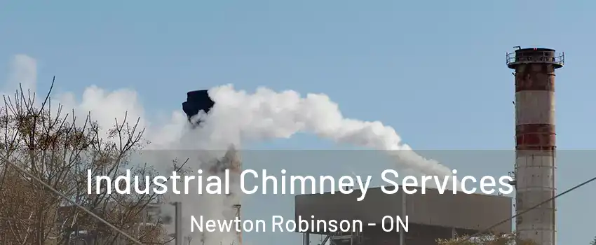  Industrial Chimney Services Newton Robinson - ON