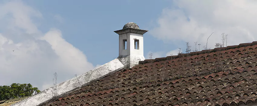 Wind-Resistant Chimney Caps Installation and Repair Services in Fishers Corners, Ontario