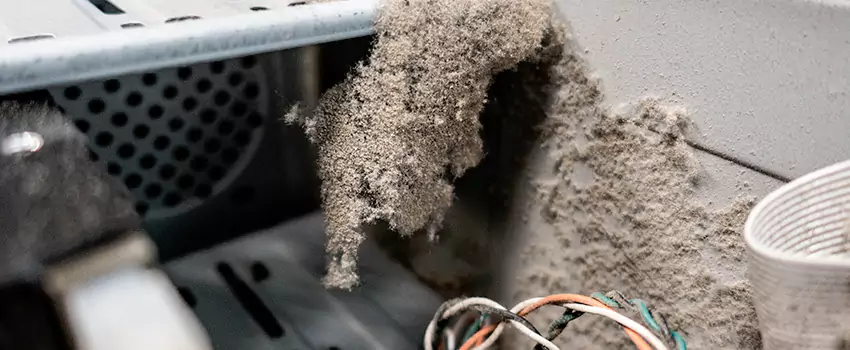 Clogged Dryer Vent Lint Cleaning in Fishers Corners, Ontario