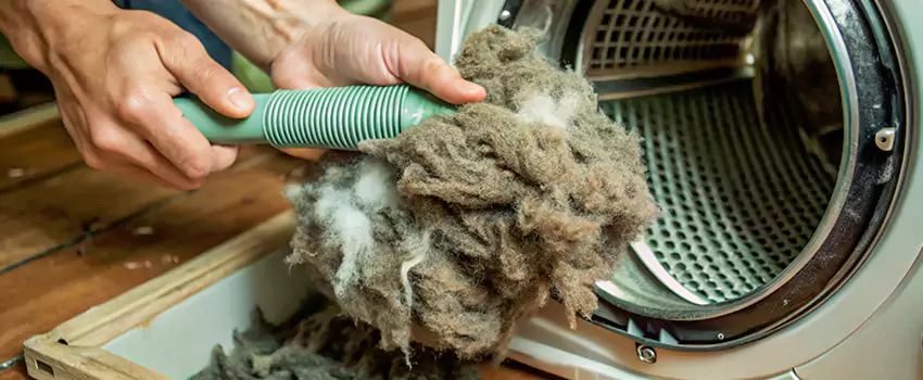 Best Dryer Lint Removal Company in Fishers Corners, Ontario