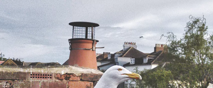 Chimney Cap Bird Guard Repair in Fishers Corners, Ontario