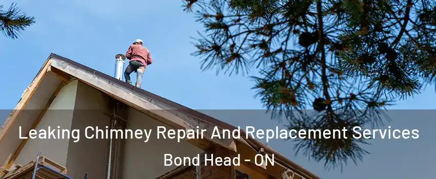  Leaking Chimney Repair And Replacement Services Bond Head - ON