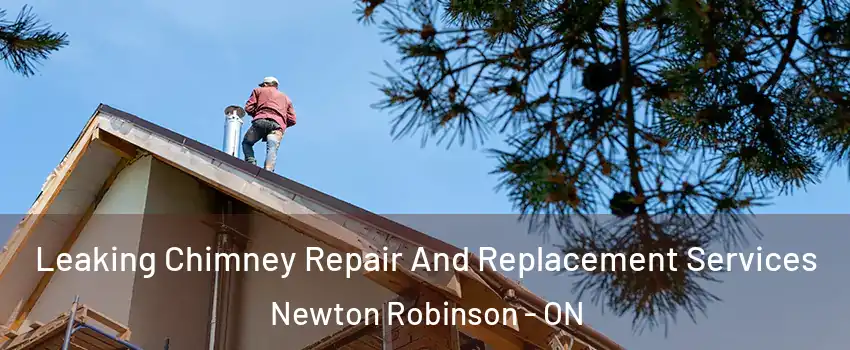  Leaking Chimney Repair And Replacement Services Newton Robinson - ON