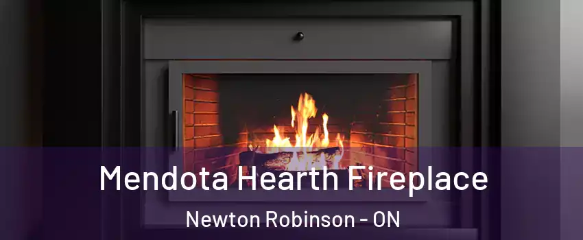 Mendota Hearth Fireplace Newton Robinson - ON