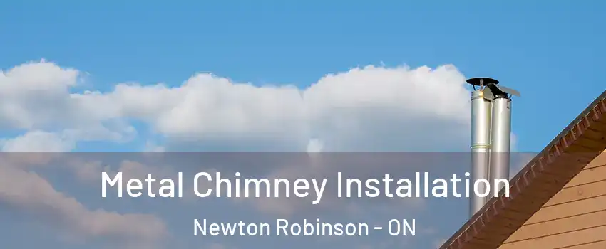  Metal Chimney Installation Newton Robinson - ON