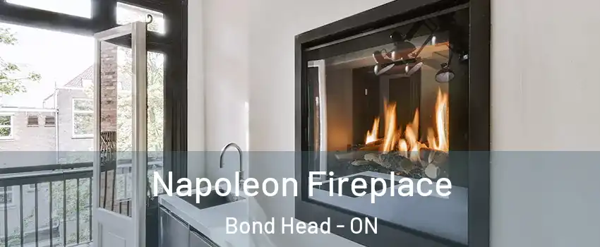  Napoleon Fireplace Bond Head - ON