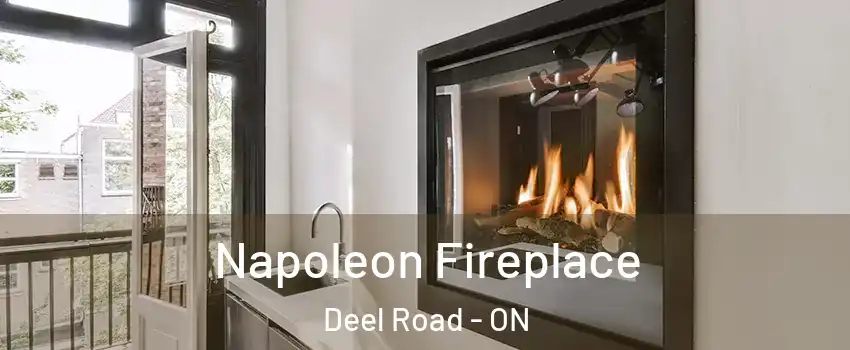  Napoleon Fireplace Deel Road - ON