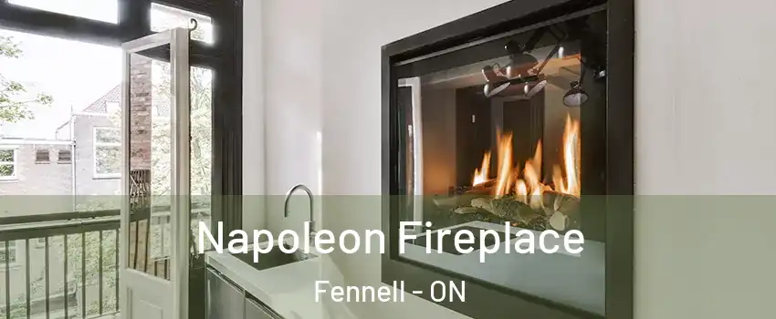  Napoleon Fireplace Fennell - ON