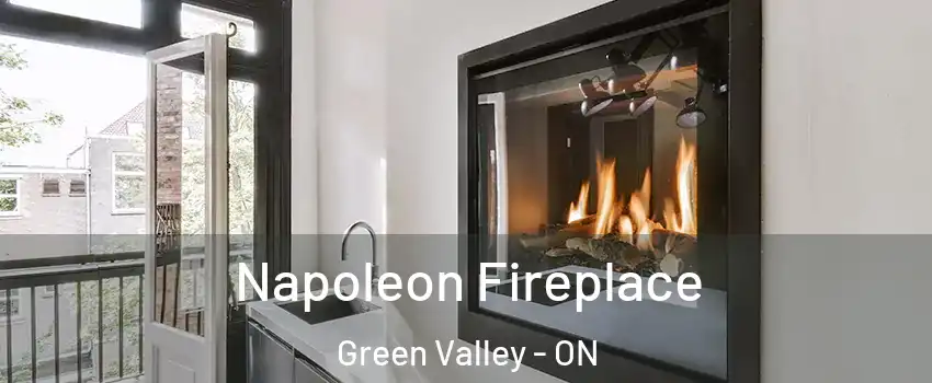  Napoleon Fireplace Green Valley - ON