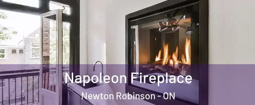  Napoleon Fireplace Newton Robinson - ON
