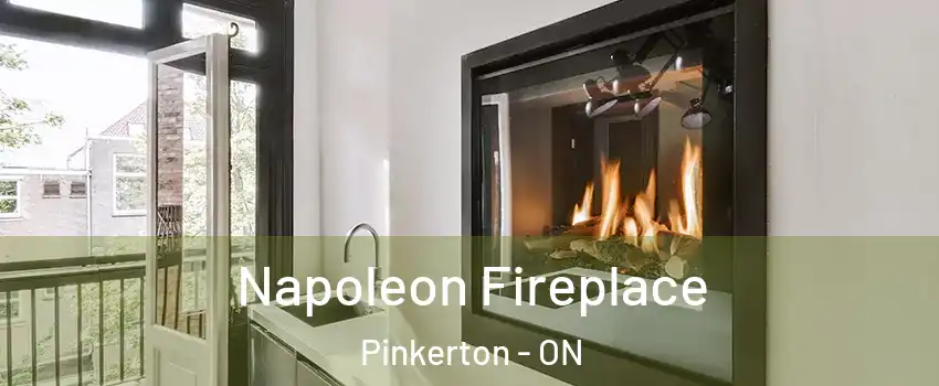  Napoleon Fireplace Pinkerton - ON