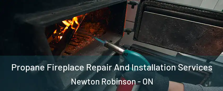Propane Fireplace Repair And Installation Services Newton Robinson - ON