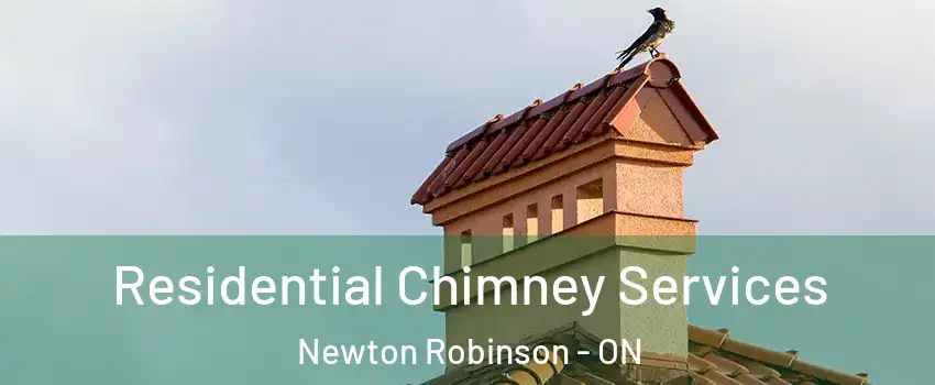  Residential Chimney Services Newton Robinson - ON