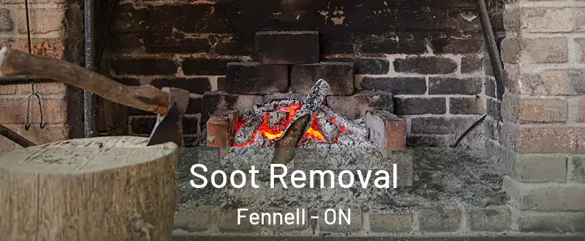  Soot Removal Fennell - ON