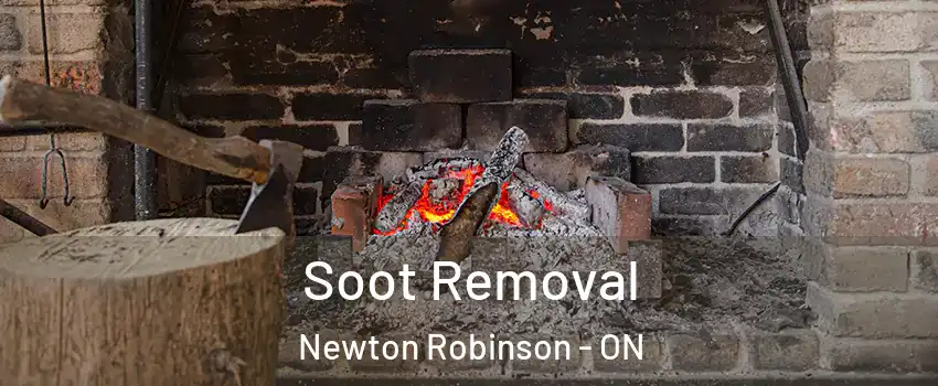  Soot Removal Newton Robinson - ON