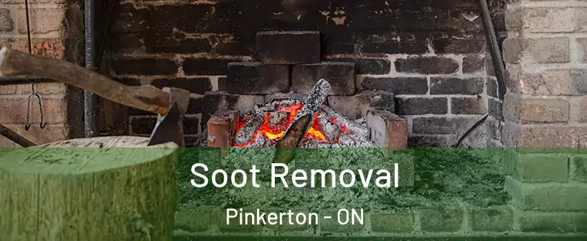  Soot Removal Pinkerton - ON