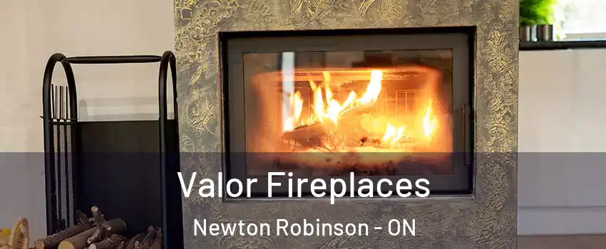  Valor Fireplaces Newton Robinson - ON