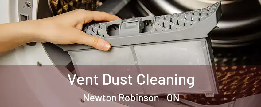  Vent Dust Cleaning Newton Robinson - ON
